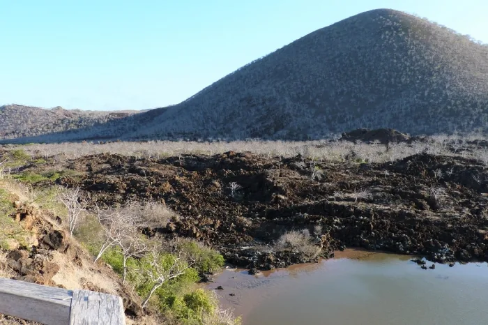 Cormorant Point Floreana
