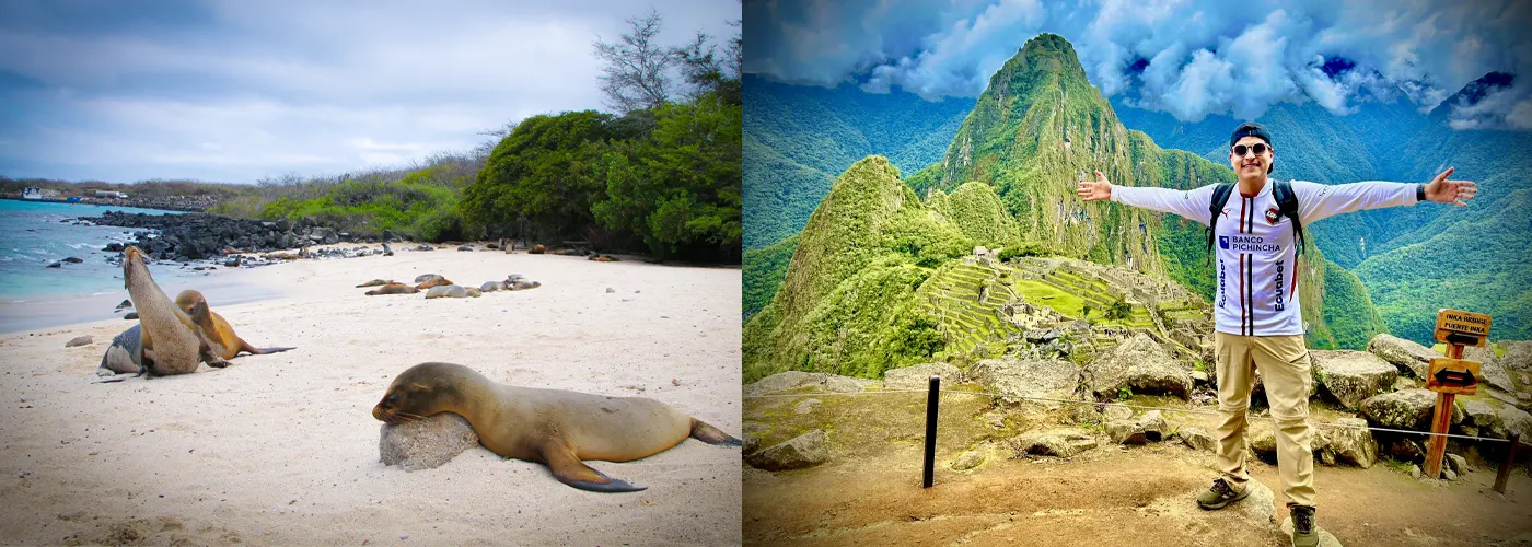 Vergleich von Reisezielen in Südamerika: Links Seelöwen an einem unberührten Strand auf den Galápagos-Inseln (Ecuador); rechts ein Reisender mit ausgebreiteten Armen vor der Kulisse von Machu Picchu (Peru).