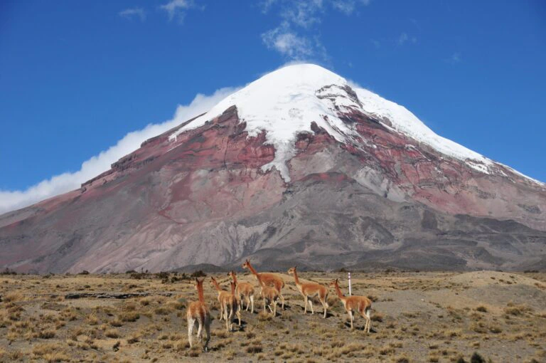 Ecuador Trekking: Chimborazo Vulkan Andenlandschaft in Ecuador