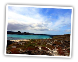 Reisebericht Solecu Tours: Galapagos Familienurlaub