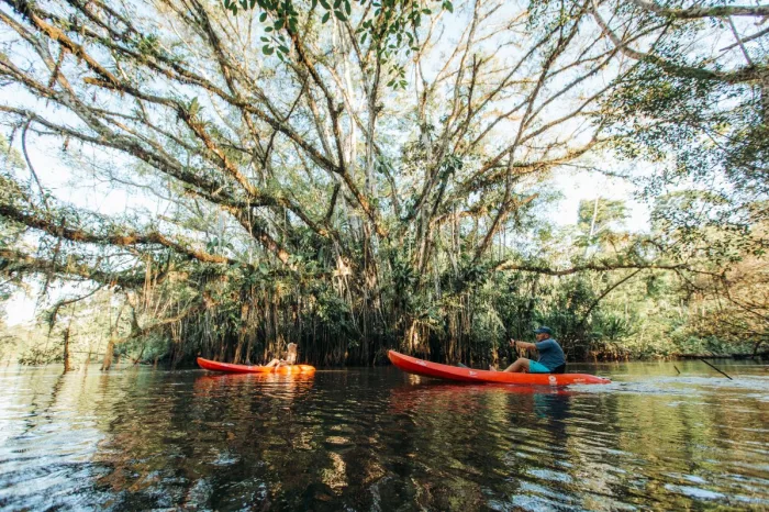 Kayak Kusutkau Fluss