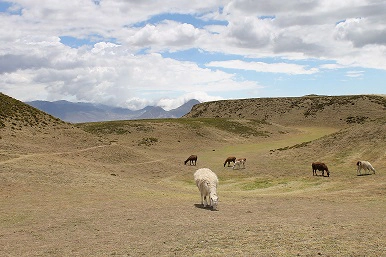 Landschaft in der Umgebung von Quito