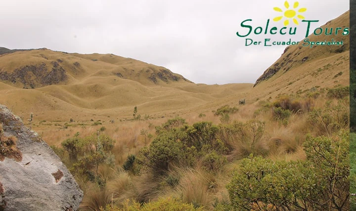 Landschaft des Fuya Fuya Vulkans in Ecuador