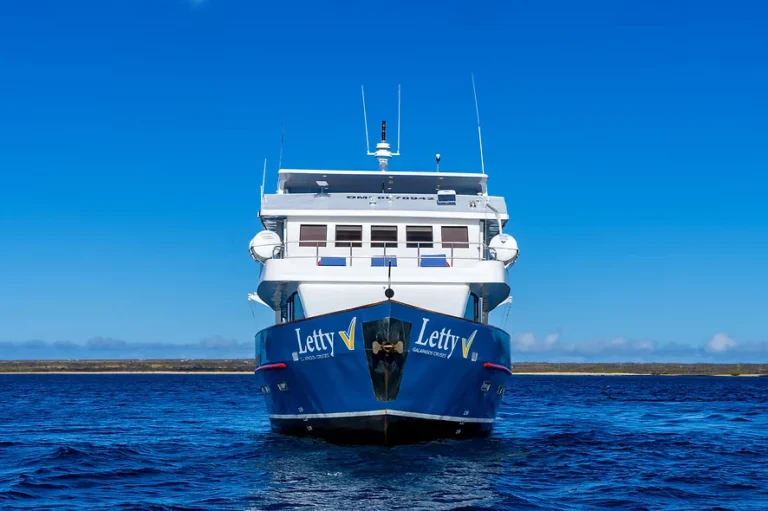 Yacht Letty von vorn