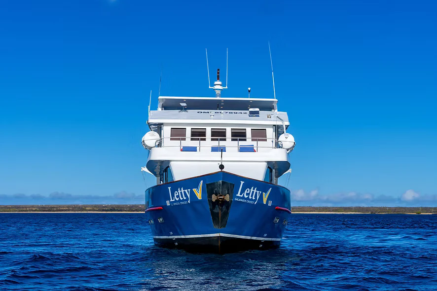 Yacht Letty von vorn