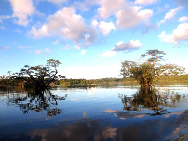 Magischer Ort im Cuyabeno Reservat