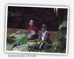 nebelwald-mindo-ecuador