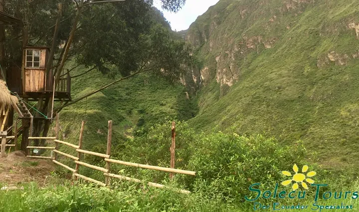 Aussichtsturm zur Beobachtung von Brillenbären in Pimampiro, Ecuador