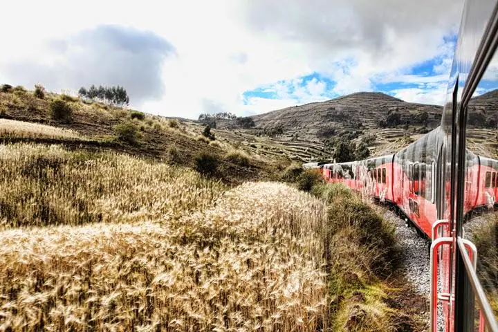 tren-ecuador