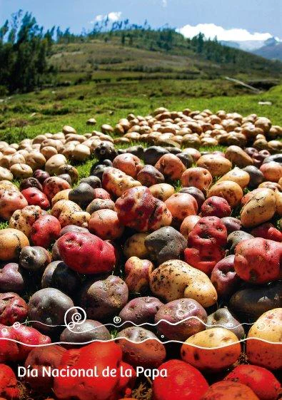 Peru - Dia Nacional de la Papa
