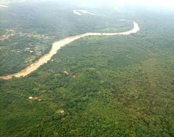 Blick über den Regenwald bei Coca aus der Vogelperspektive
