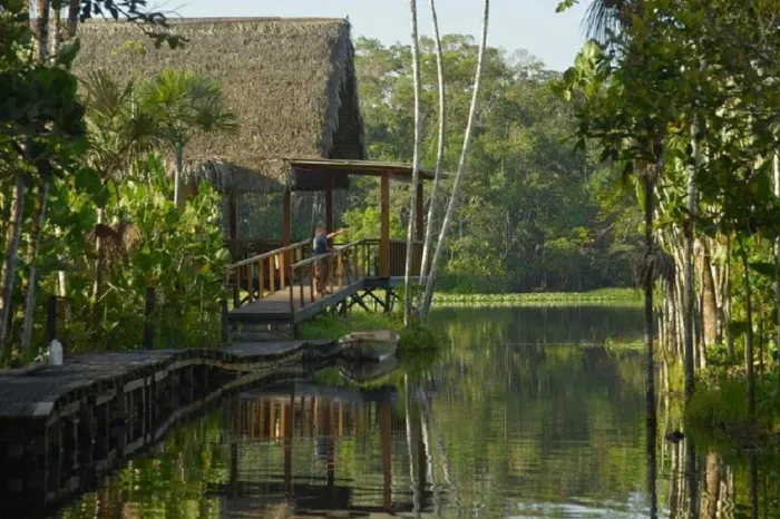 Sacha Lodge Bungalows