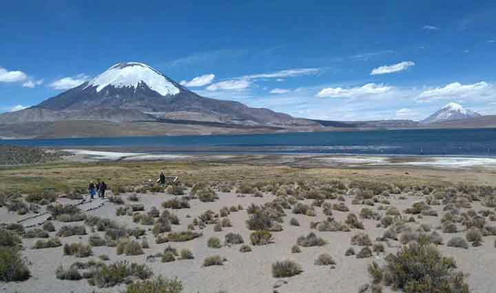 Sajama Vulkan Bolivien