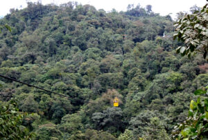 Seilbahn im Nebelwald von Mindo