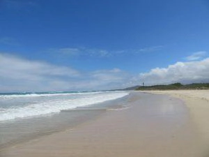 weißer Sandstrand der Galapagos Insel Isabela