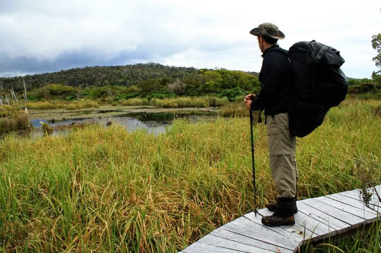 Wanderer im Tantauco Park