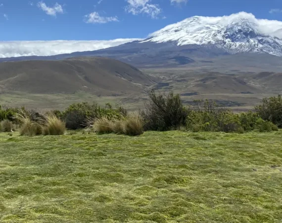 Reisender betrachtet den schneebedeckten Vulkan Antisana – Vulkane in Ecuador in ihrer spirituellen Dimension
