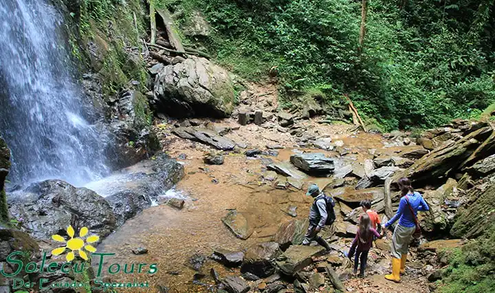 Wanderung zum Wasserfall nahe der Mashpi Lodge in Ecuador