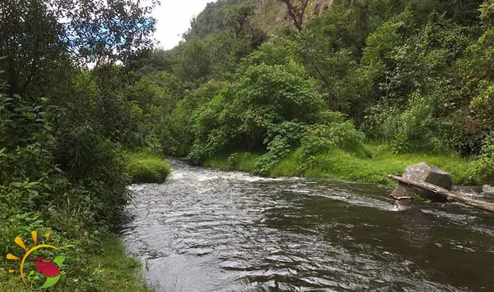 Fluss Pita Wasserfälle von Rumibosque
