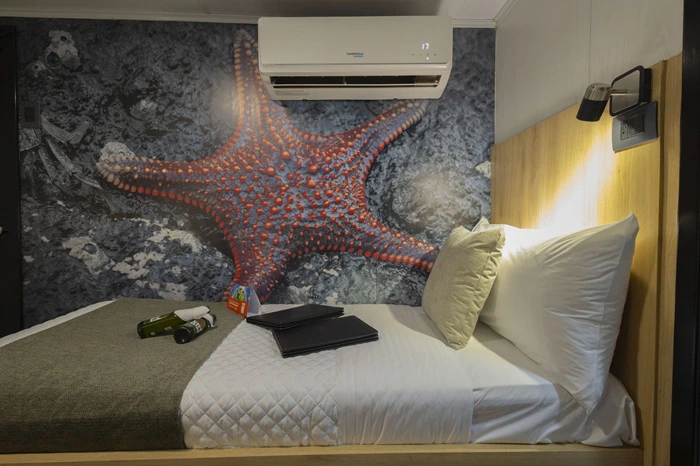 Doppelkabine der Galapagos Motoryacht Bonita mit Dekoration und Willkommensgetränk