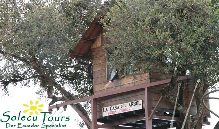 Die Casa del Arbol in Baños
