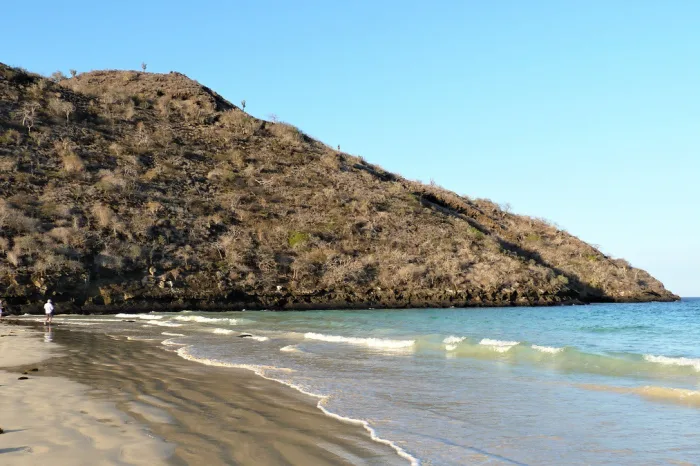 champion islet galapagos