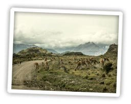 Andenlandschaft in Chile