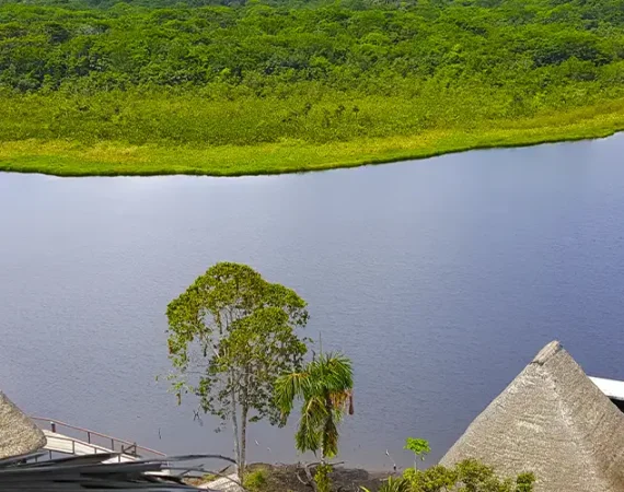 Luxuriöse Amazonas-Lodge mit strohgedeckten Bungalows an einer unberührten Lagune im Regenwald Ecuadors