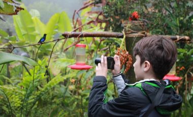 Nebelwald-Vogelbeobachtung