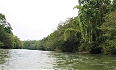 Itamandi-Fluss