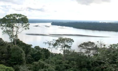 la-selva-flusslandschaft-ecuador.webp la-selva-flusslandschaft-ecuador.webp