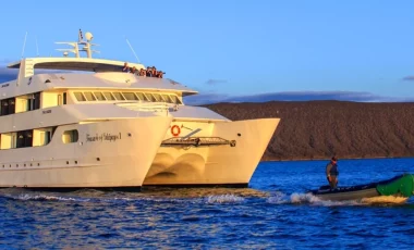 katamaran-treasure-galapagos.webp katamaran-treasure-galapagos.webp