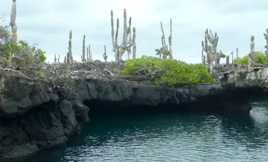 moreno-point-isabela-galapagos.webp moreno-point-isabela-galapagos.webp