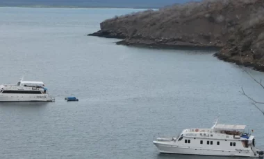 tagus-cove-galapagos.webp tagus-cove-galapagos.webp