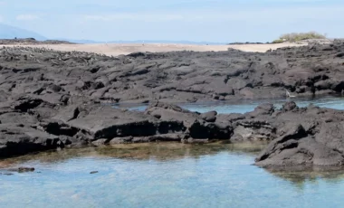 punta-espinoza-insel-fernandina-galapagos.webp punta-espinoza-insel-fernandina-galapagos.webp