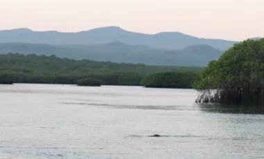 black-turtle-cove-Galapagos.webp black-turtle-cove-Galapagos.webp