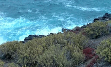 pitt-point-insel-san-cristobal1.webp pitt-point-insel-san-cristobal1.webp