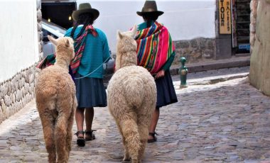 Frauen-Lamas-Cuzco.JPG