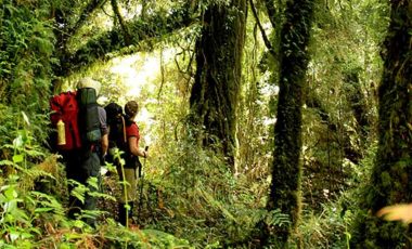 tantauco-trekking-chiloe.jpg