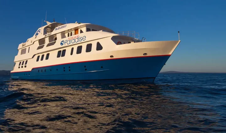 Galapagos Luxus Yacht Natural Paradise
