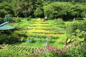 Bergdorf Boquete Panama