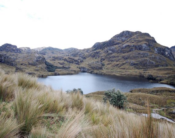 Ecuador- Nationalpark El Cajas und Biosphärenreservat Macizo del Cajas