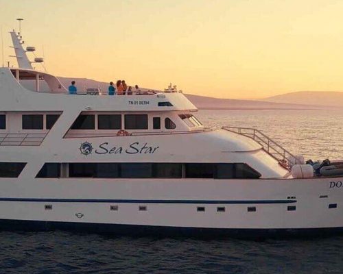 Galapagos Yacht Sea Star Journey