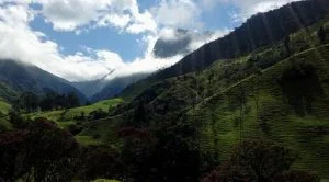 IMG_1070-klein Salento Kolumbien - Kaffeeezone