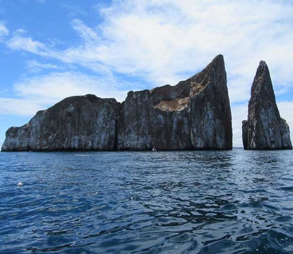 Kickers Rock auf Galapagos Kreuzfahrt besuchen