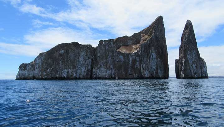 Kickers Rock auf Galapagos Kreuzfahrt besuchen