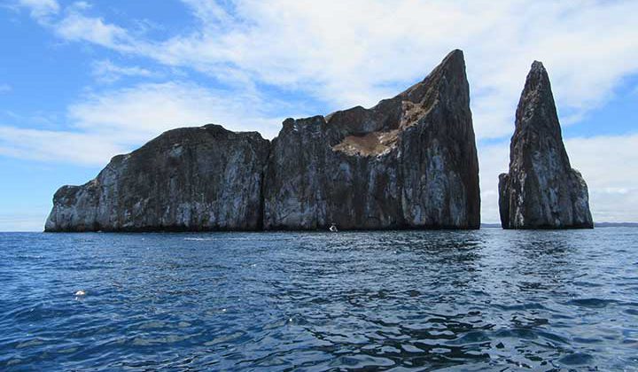 Kickers Rock auf Galapagos Kreuzfahrt besuchen