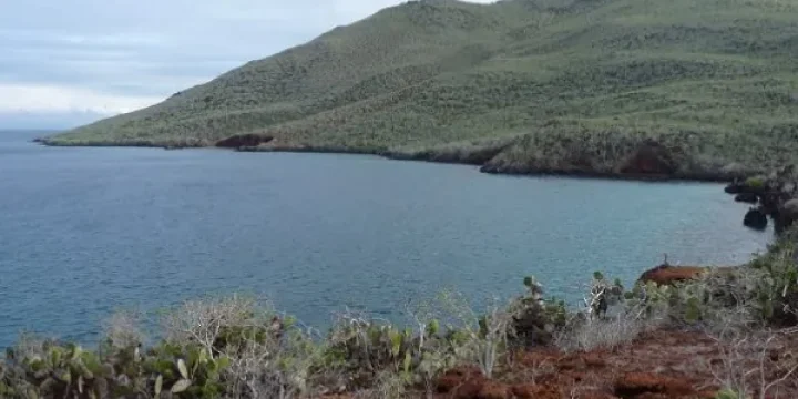 Küste der Insel Rabida