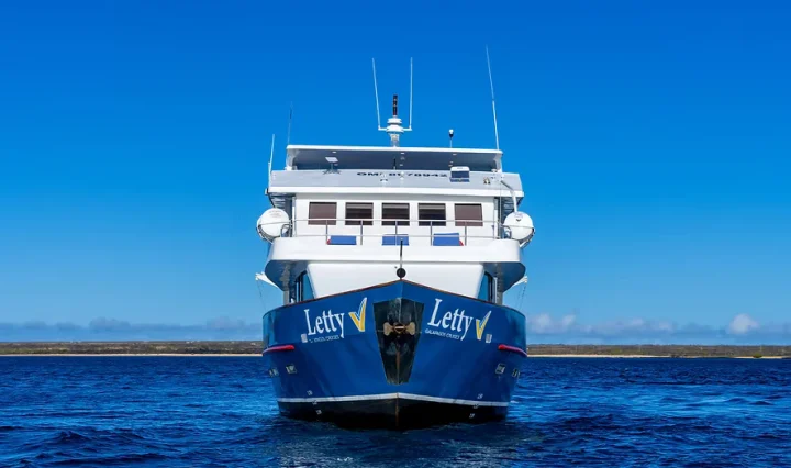 Letty-Frontansicht Yacht Letty von vorn
