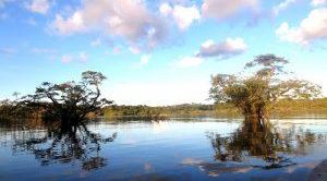 Lagune im Cuyabeno Reserat Ecuador